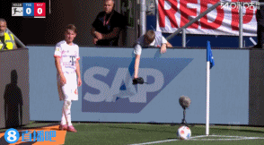 net, 指出, 轻球员卡尔