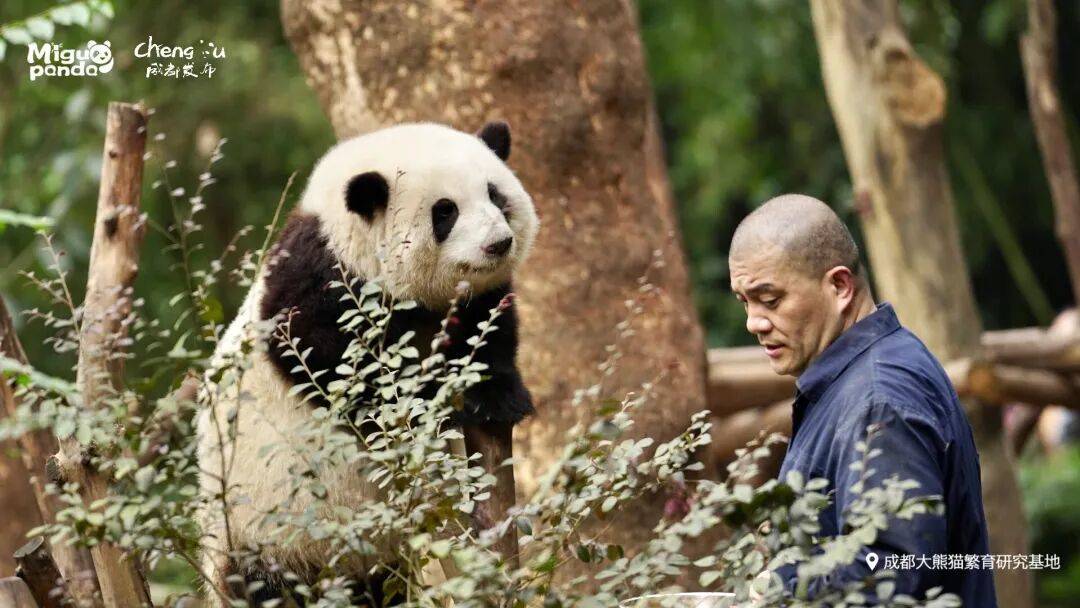 有兄弟友谊, 好机会, 来一场说走