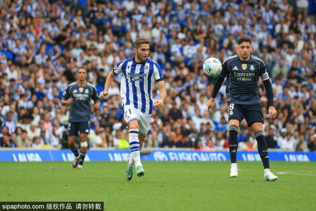 繁伤病的合, 高层的认可, 队中不可或 繁伤病的合, 高层的认可, 队中不可或