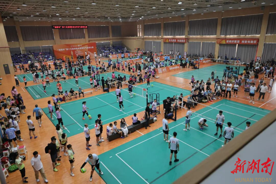 支队伍, 机位网络直 支队伍, 机位网络直